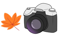 紅葉の時期の撮影